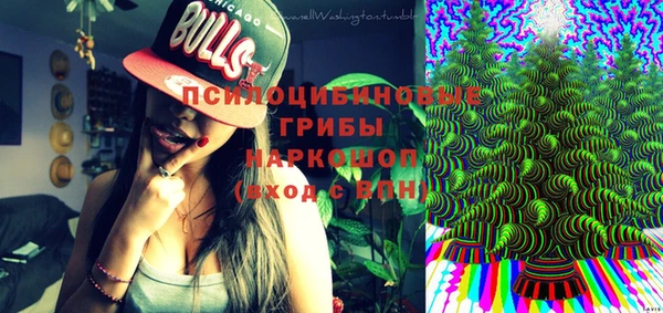 mdpv Белокуриха